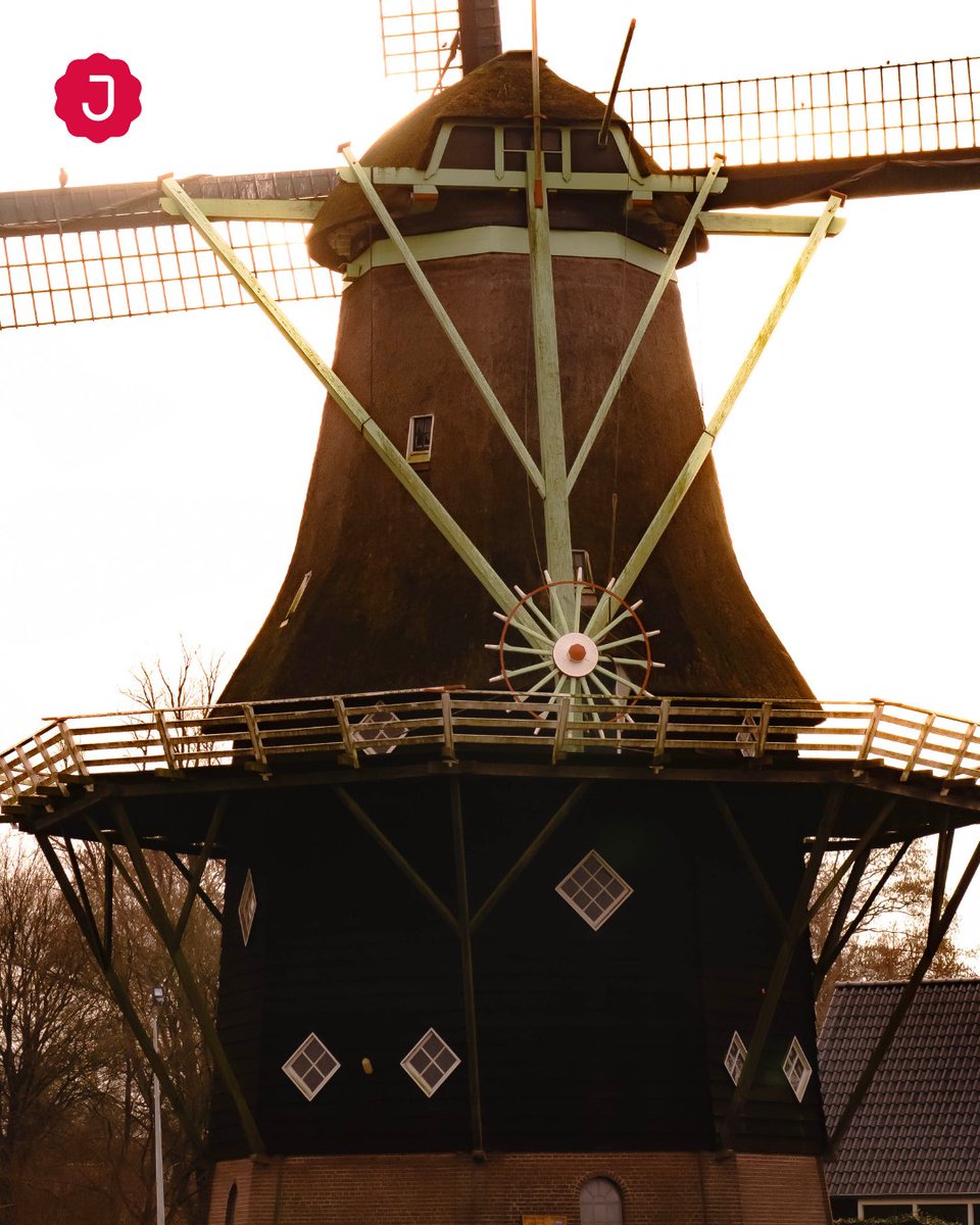 Moet je eens kijken hoe mooi de windmolen er bij staat. Echt een plaatje.

#joure #jourekoffie #windmolen #moetjezien #komlangs
