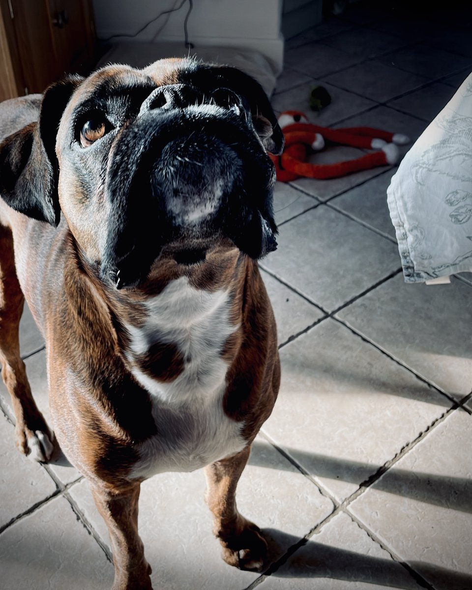 In Ex Design tweet media