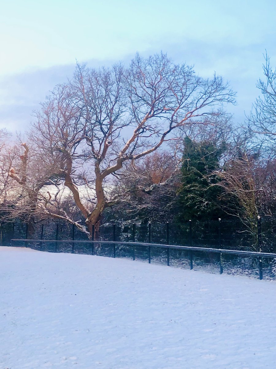 Perfect gravy weather at Essential Towers this morning