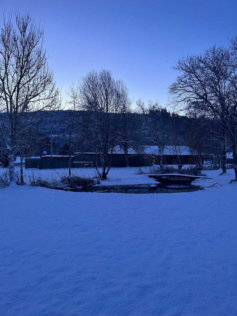 Snow! Beautiful scenes from home, typically I’m away and it’s not snowed here 😡