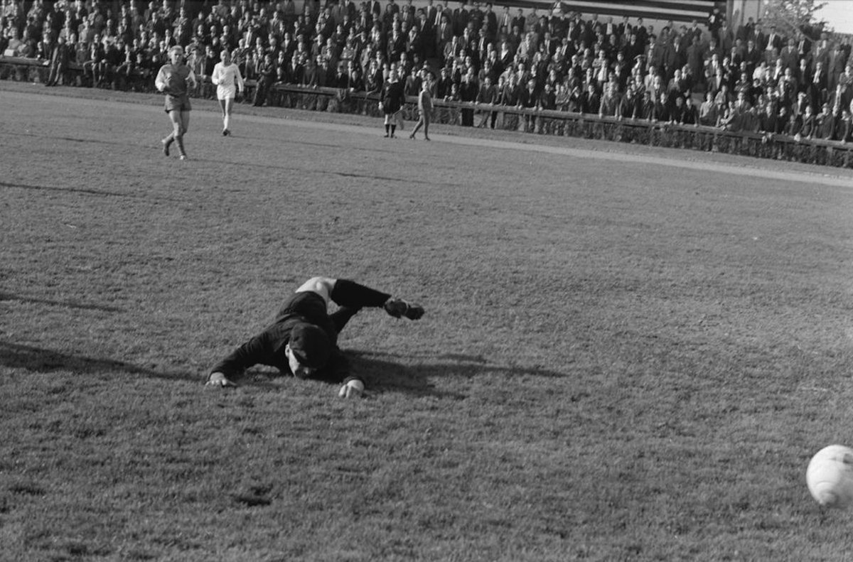 ze_zemp's tweet image. Hat das Jahr des Hasen eigentlich schon angefangen? Oder ist es bald angelaufen? Was macht das mit dir?
#chinesisch #Unfrage 🐰#followerpower #Kapriolen