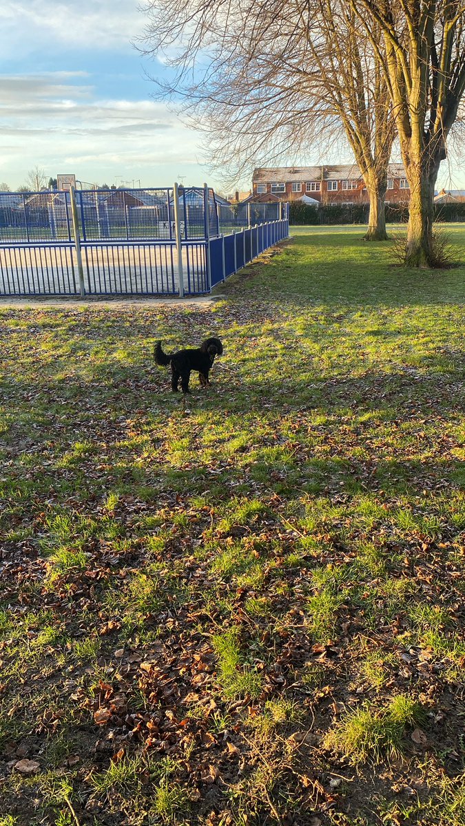 Andrew_Ellis34's tweet photo. @bignorms @walkingsbrill Snap! The 🐶 loves it too! Has a good day norm 👍 https://t.co/wWohQqU7hL