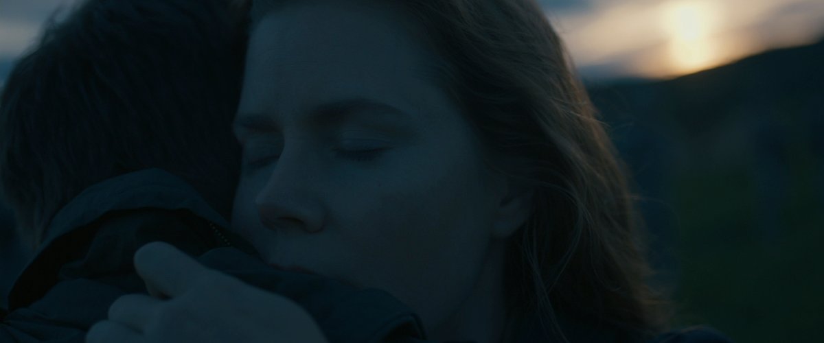 TheCinegogue's tweet photo. Arrival (2016) https://t.co/FejzJg7EtV