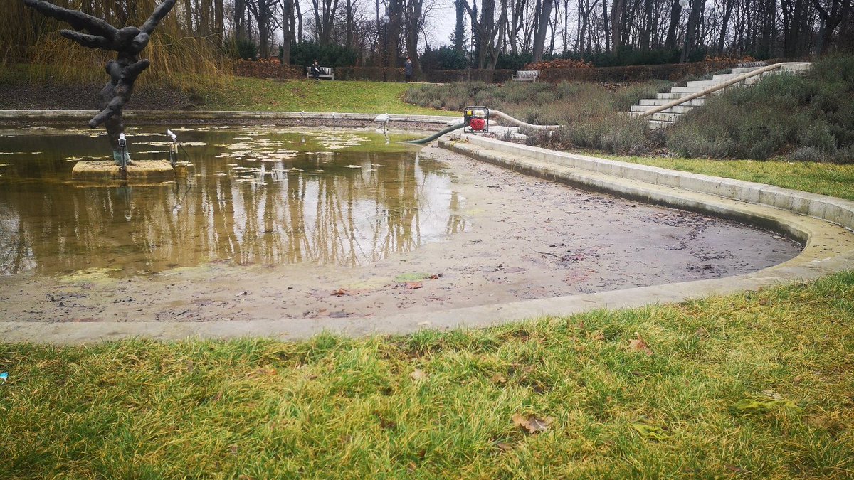 EcoPoznan's tweet photo. Znika woda z Ogrodu Wodnego w Parku Cytadela. Co jest powodem?
https://t.co/LNvnTz7qcV
#ecopoznan #poznań #park #ecosystem #ekosystem #płazy #ropuchy https://t.co/bV7OcXSUsH