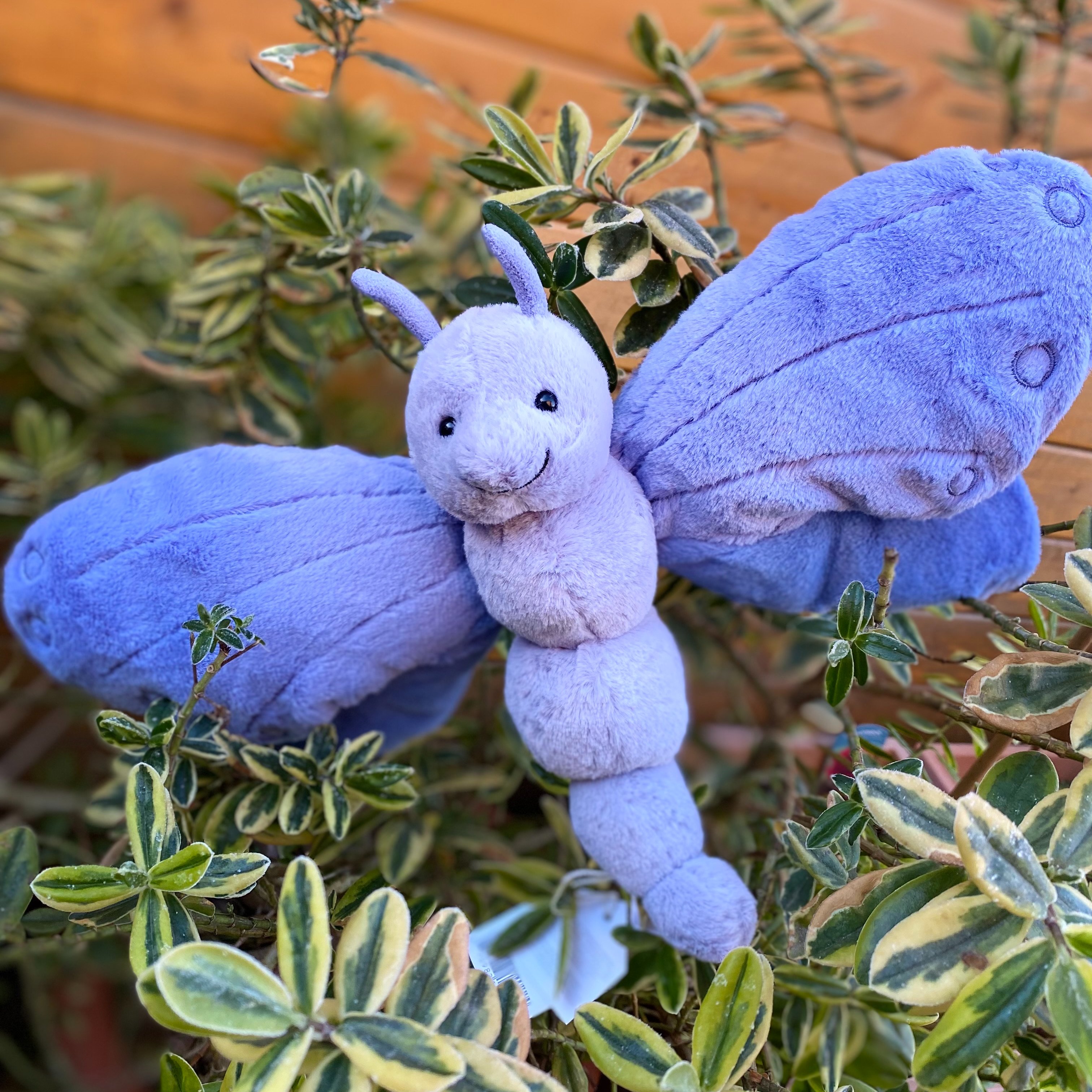 Jellycat Bluebell Butterfly Jellycat Bluebell Butterfly