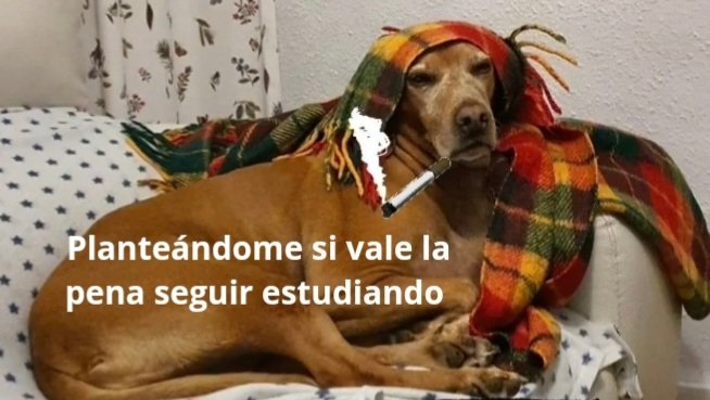 lamemeria_'s tweet photo. Yo en las semanas de exámenes con mis crisis existenciales. https://t.co/EB12pNM7uK