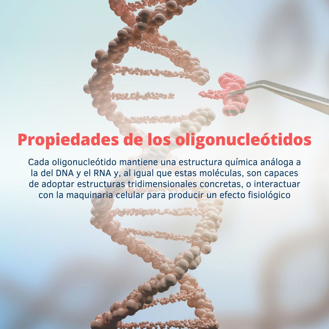 👉 Los #oligonucleótidos , gracias a sus propiedades, son extraordinariamente importantes en la búsqueda de terapias que mejoren la calidad de vida de los pacientes con #enfermedadesraras 🧬 ¿Quieres saber más? 📌 swki.me/5MNp8Ch5 #financiadoporCDTI #OLIGOFASTX