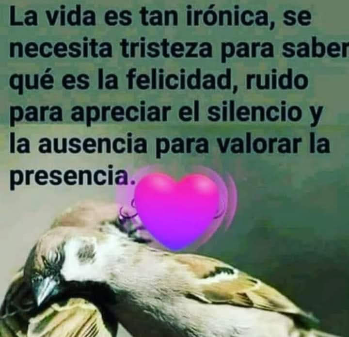 VidaEquilibrada (@vidaequilibrad4) on Twitter photo 