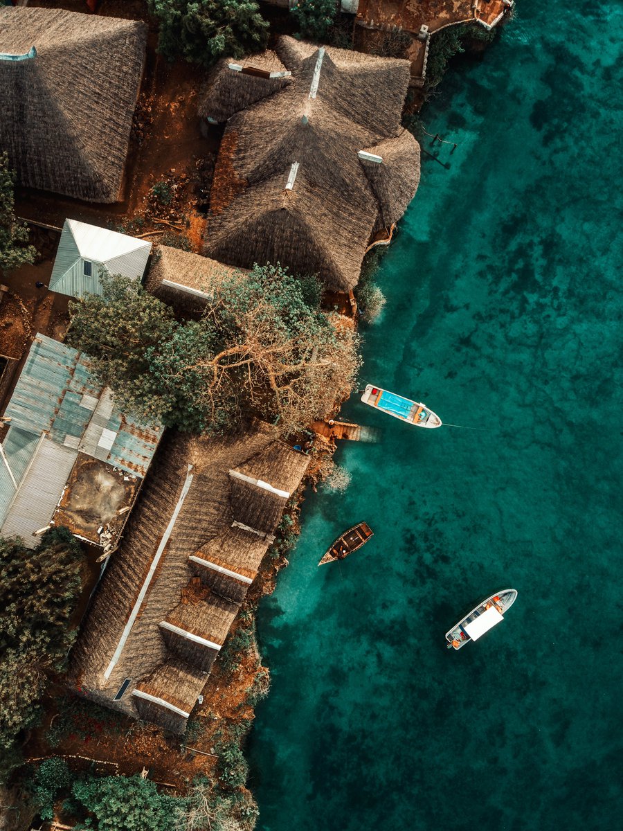 __peterBraxton's tweet photo. Postcards from Wasini Island. https://t.co/BVQ4g8d4t2