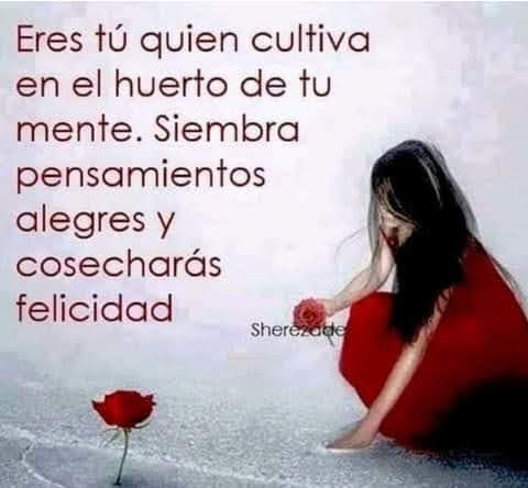 VidaEquilibrada (@vidaequilibrad4) on Twitter photo 