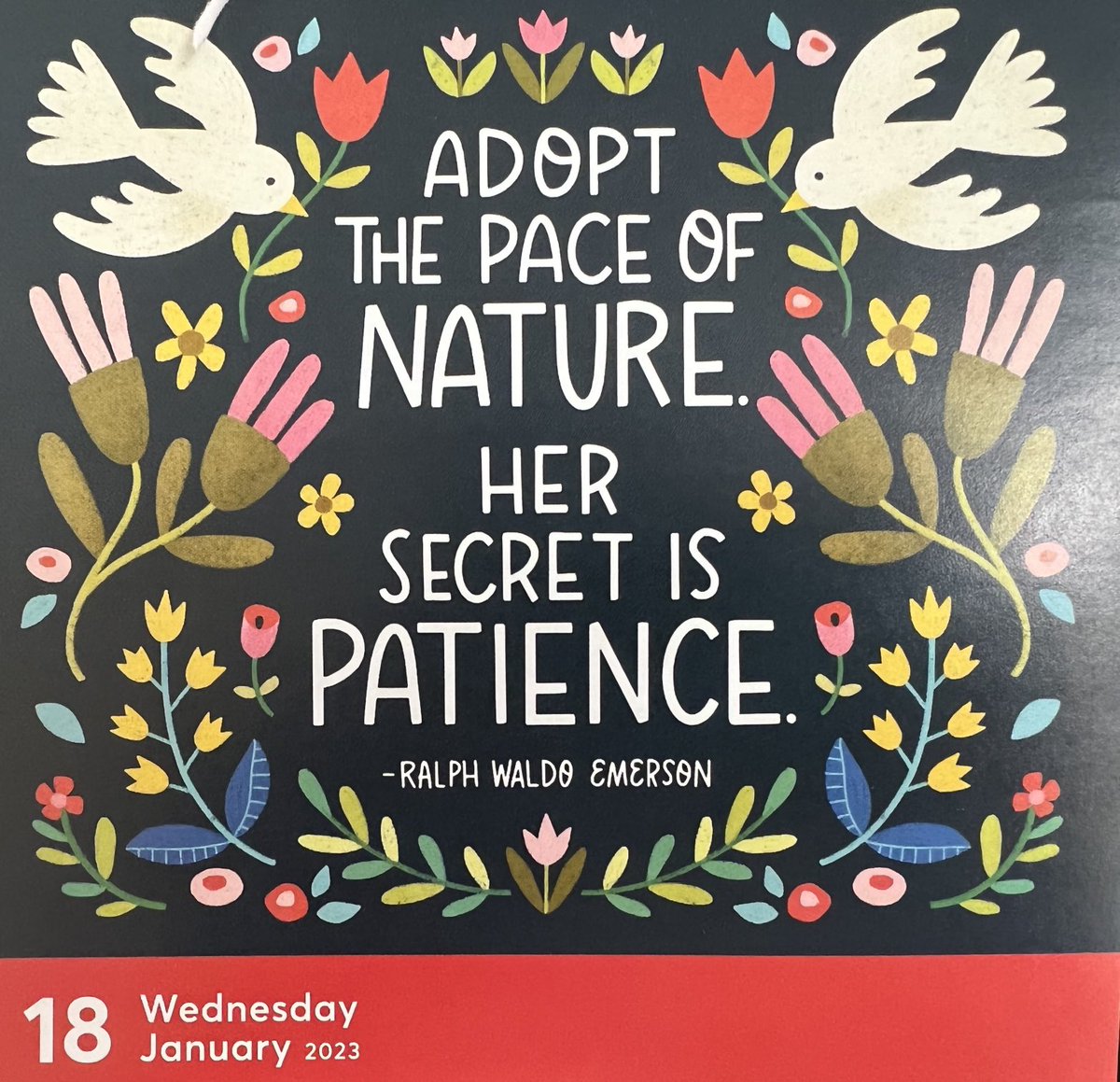 Anthony Cleary tweet media