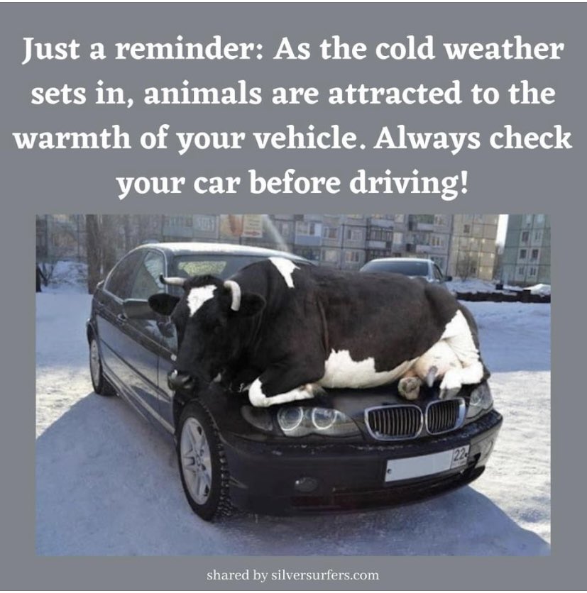 ACC UK LTD tweet media