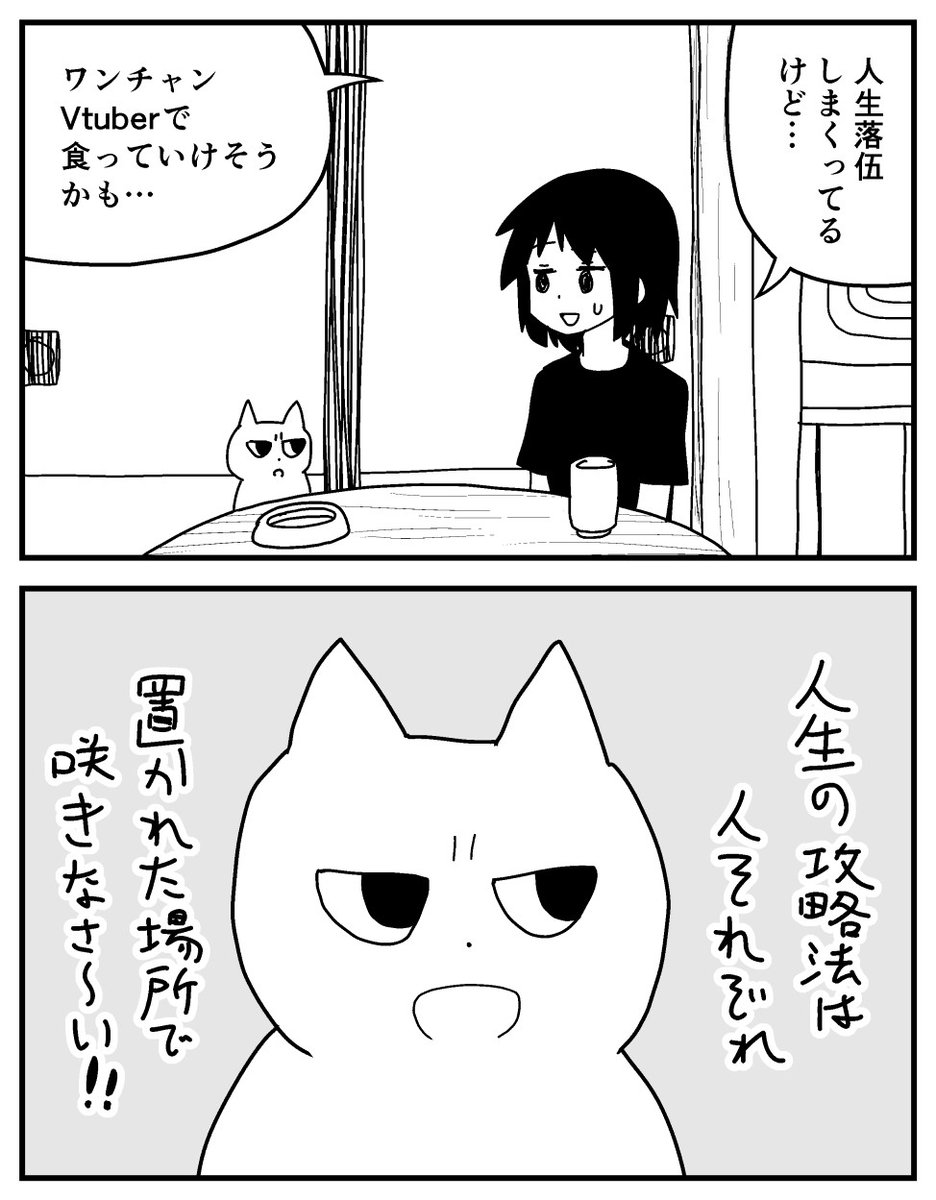 無干渉ねこ 