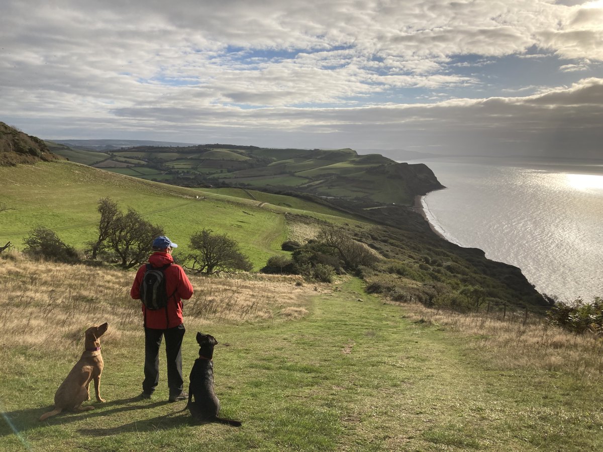 **Job alert** Lecturer posn in  #cancergenomics 
Come and join our interdisciplinary team working with exceptional researchers in a beautiful part of the world @uniofexeHLS @ExeterMed @UoE_Vacancies jobs.exeter.ac.uk/hrpr_webrecrui…