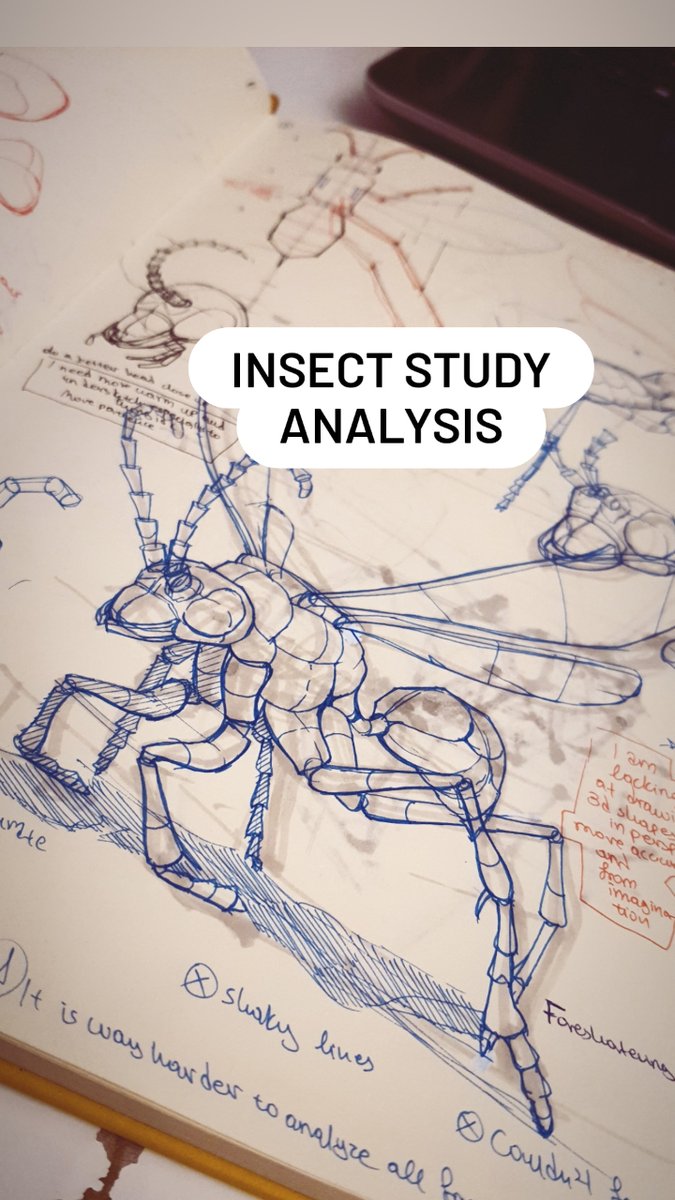 iridas_art's tweet image. 🌸Do you analyze your reference before you draw it?

🌸How much do you actually understand from what you study??

❣️Droppin&apos; an insect study analysis today!

#dynamicsketching #insectdrawing #organicshapes #artstudying