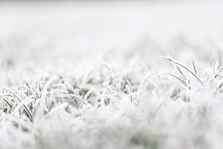 AldroSchool's tweet photo. It’s another big frost out there today ❄️
#frozenfields #winterdays #lifeataldro #britishprepschool https://t.co/SRqtEvpU6o
