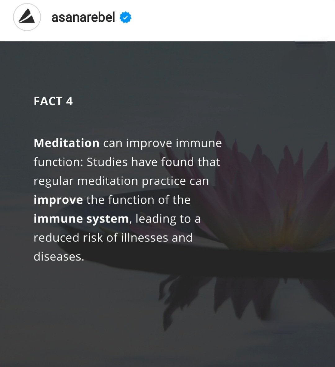 A good reason to start🙌❤️🌸
<a href="/SamHeughan/">Sam Heughan</a> <a href="/MyPeakChallenge/">My Peak Challenge</a> <a href="/DutchPeakers/">Dutch Peakers™️</a> @walkingpeakers