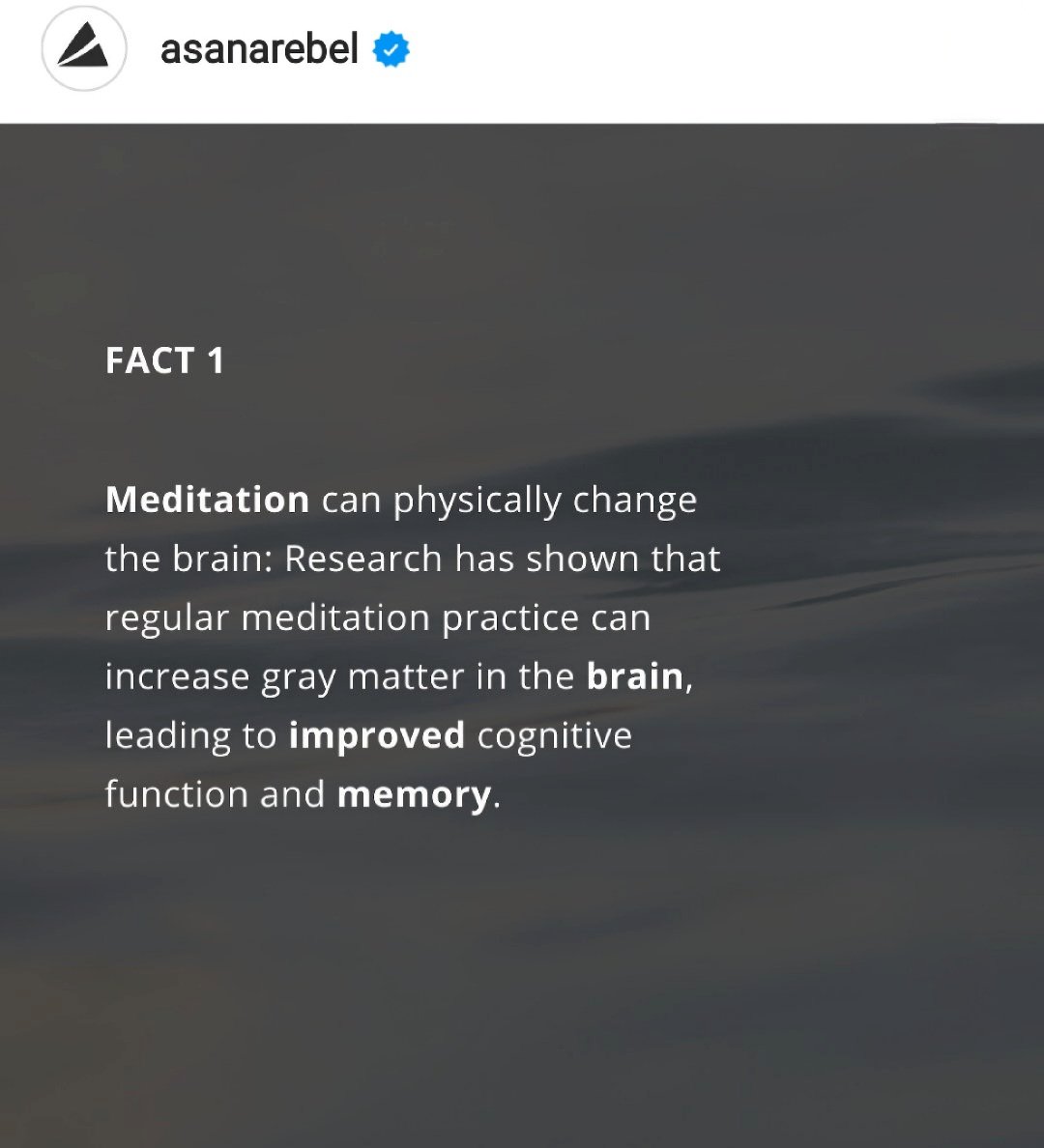 Anke Uit Eindhoven tweet media