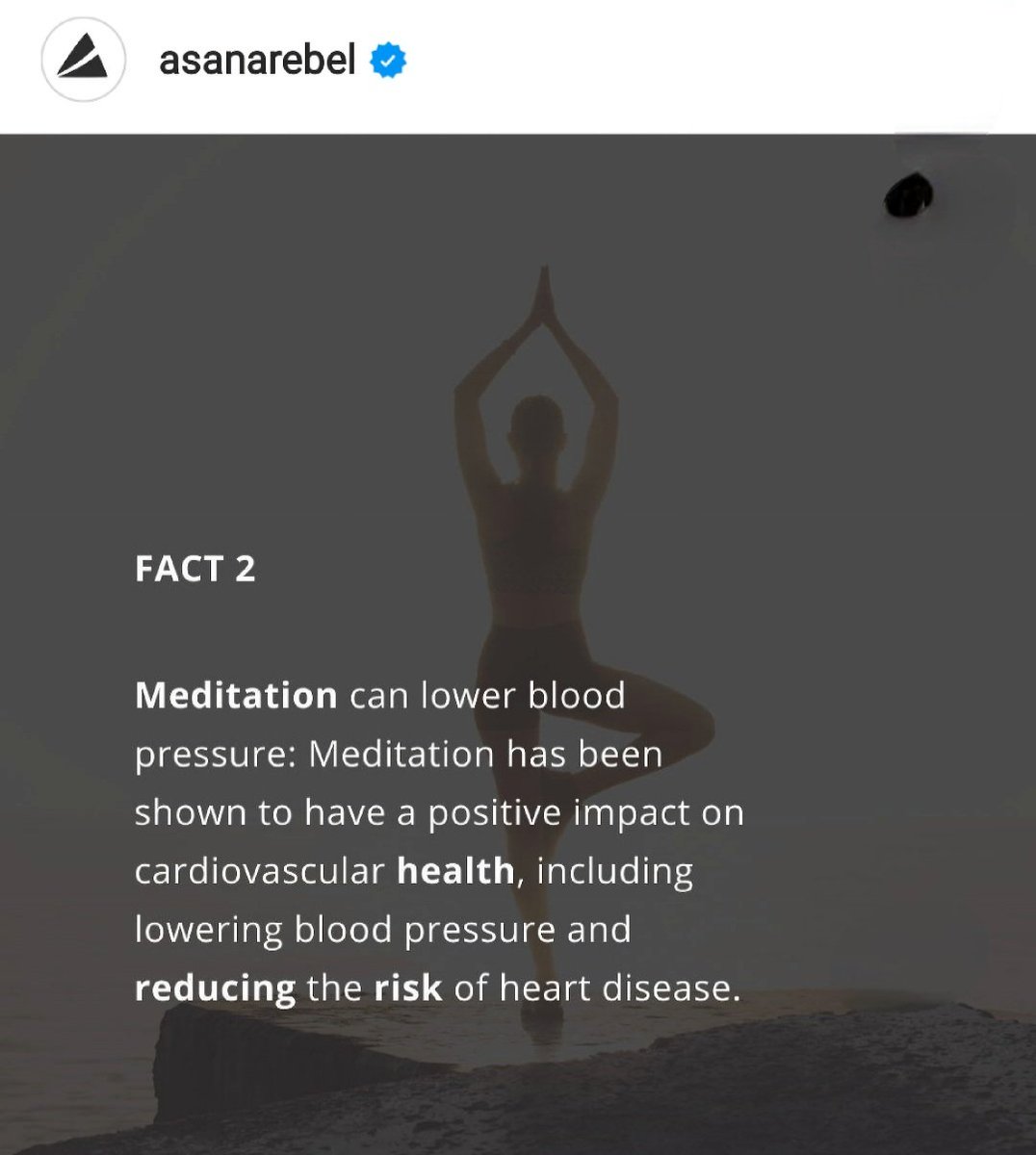 Anke Uit Eindhoven tweet media