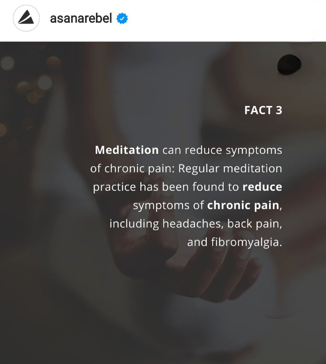 Anke Uit Eindhoven tweet media