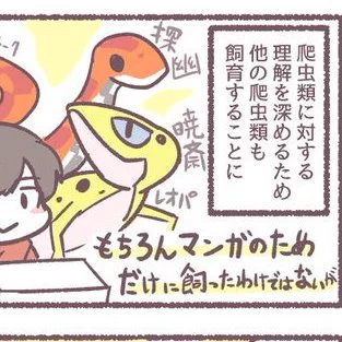 エボシカメレオンのモネ&コーンスネークの探幽に出会った頃のイラストと漫画。
#観世あみ作品投稿祭り毎朝7時30分 