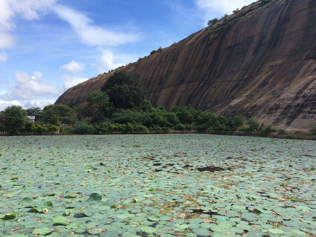 Sriram V tweet media