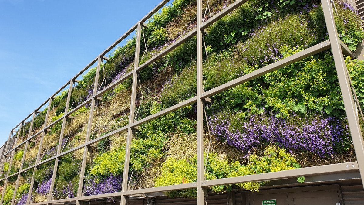 BIA op de Bouwbeurs 2023 met Groen Bouwen, wij staan in Hal 11 . . via deze link gratis toegangskaarten events.jaarbeurs.nl/BouwBeurs2023/…