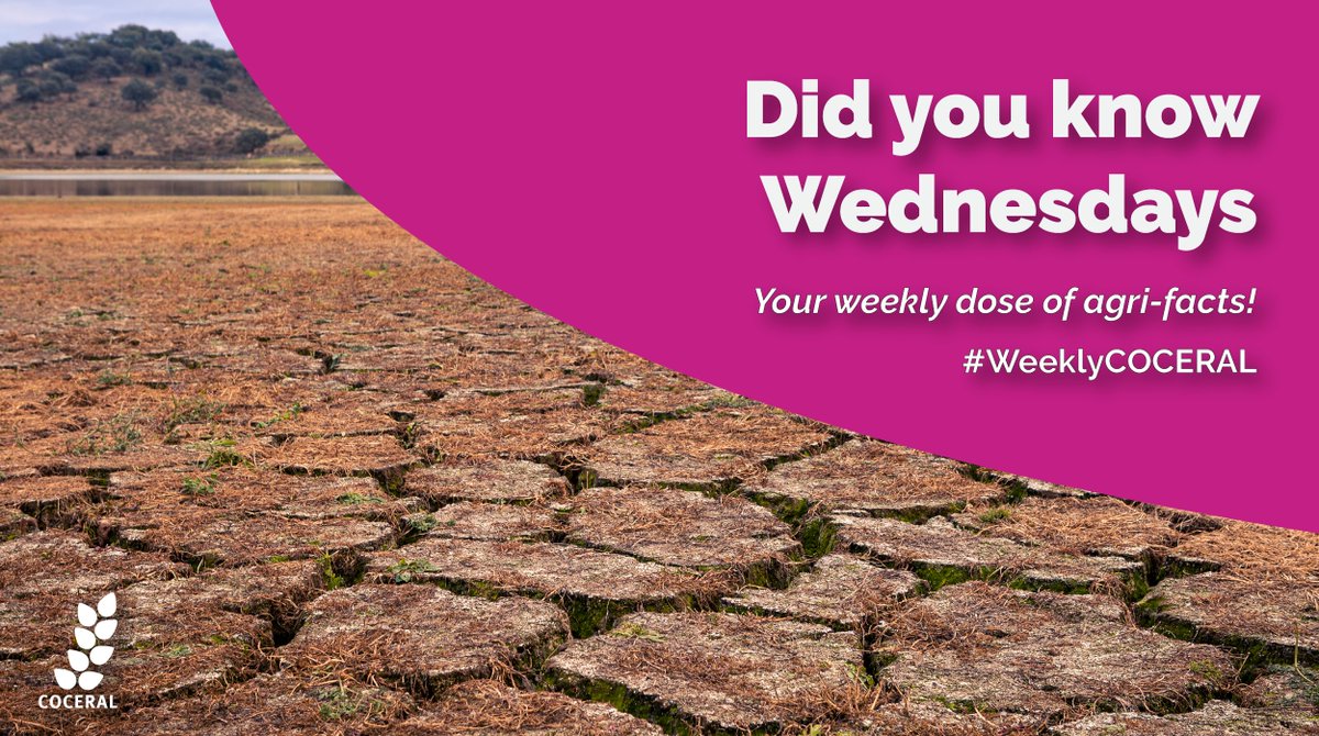 Did you know that one third of the global population is malnourished? And 821 million people suffer from chronic hunger. (Stats from <a href="/FAO/">Food and Agriculture Organization</a>)

In the face of #ClimateChange and #biodiversity loss, conserving our ecosystems is ever more important.

#WeeklyCOCERAL