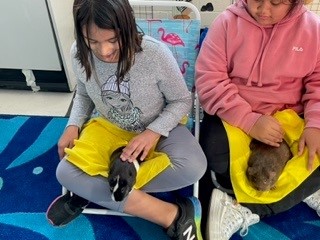 Rolling Valley Rockin 4th Grade tweet media