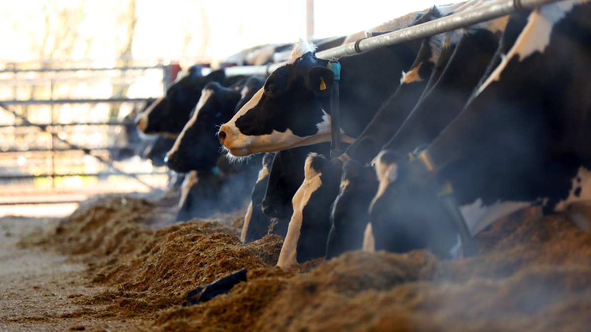 Tried & Tested tweet media