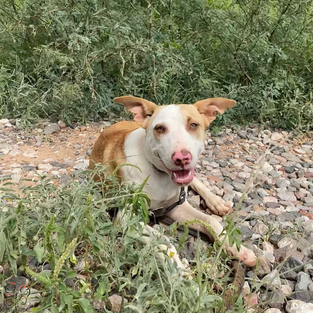 Saving Lives tweet media