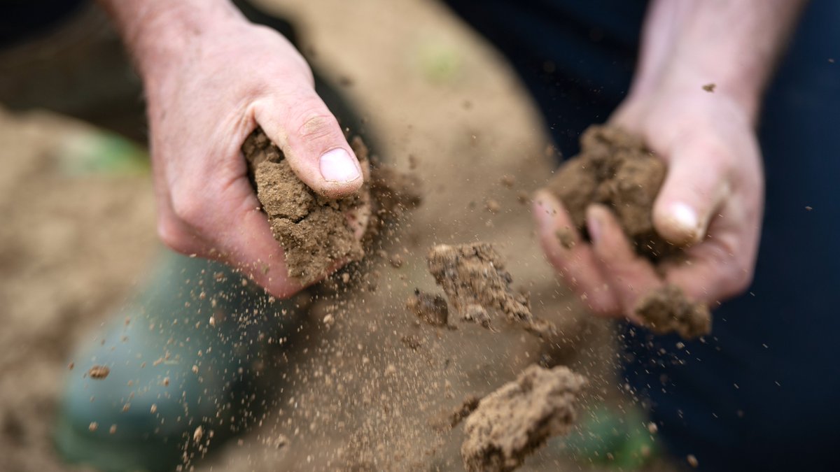 Tried & Tested tweet media