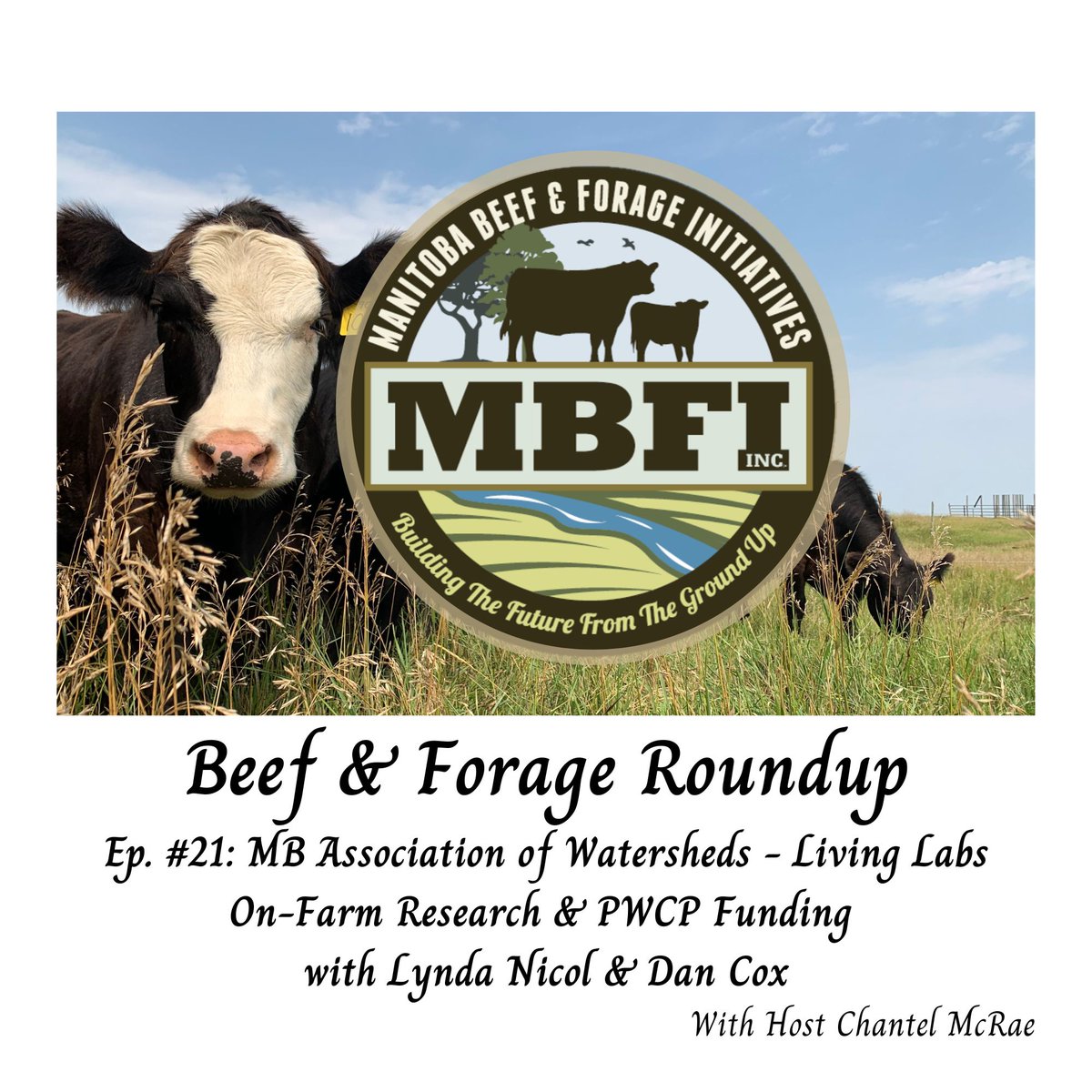 Manitoba Beef & Forage Initiatives (@mbbeefandforage) on Twitter photo Today, we are focusing on two projects the MB Association of Watersheds is currently working on; The Living Labs Eastern Prairies & Prairie Watersheds Climate Program.
Listen now!
<a href="/MBGovAg/">Manitoba Agriculture</a> <a href="/DUCmanitoba/">Ducks Unlimited MB</a> <a href="/ManitobaBeef/">Manitoba Beef Producers</a> <a href="/MBForages/">MFGA</a> Today, we are focusing on two projects the MB Association of Watersheds is currently working on; The Living Labs Eastern Prairies & Prairie Watersheds Climate Program.
Listen now!
<a href="/MBGovAg/">Manitoba Agriculture</a> <a href="/DUCmanitoba/">Ducks Unlimited MB</a> <a href="/ManitobaBeef/">Manitoba Beef Producers</a> <a href="/MBForages/">MFGA</a>