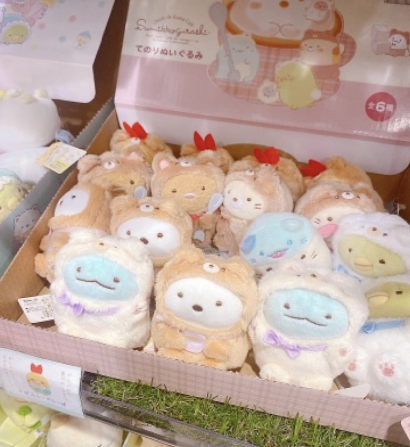 ／
☀️おはしの☀️
＼
かわいい雑貨屋さん発見💗
すみっコぐらし、大好きです😍
かわいいは、癒し〜🥺❣️
次男は、タピオカ推し💗
私と長男は、とかげ推し💗💗💗

今日も夢叶うよう頑張りましょう🥰
#おは戦50119jm 🌴
#おはよう戦隊くん
#すみっコぐらし