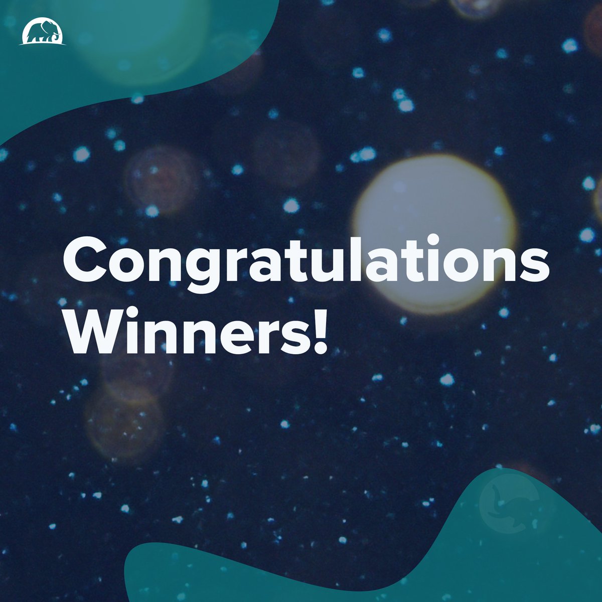 ElephantAutoIns's tweet image. After a year of hard work, Elephant took a moment last week to recognize members and departments of the Herd for their outstanding contributions at our Virtual Awards Party. Each member of the Herd is integral to the success of Elephant. Congratulations to all of the winners!