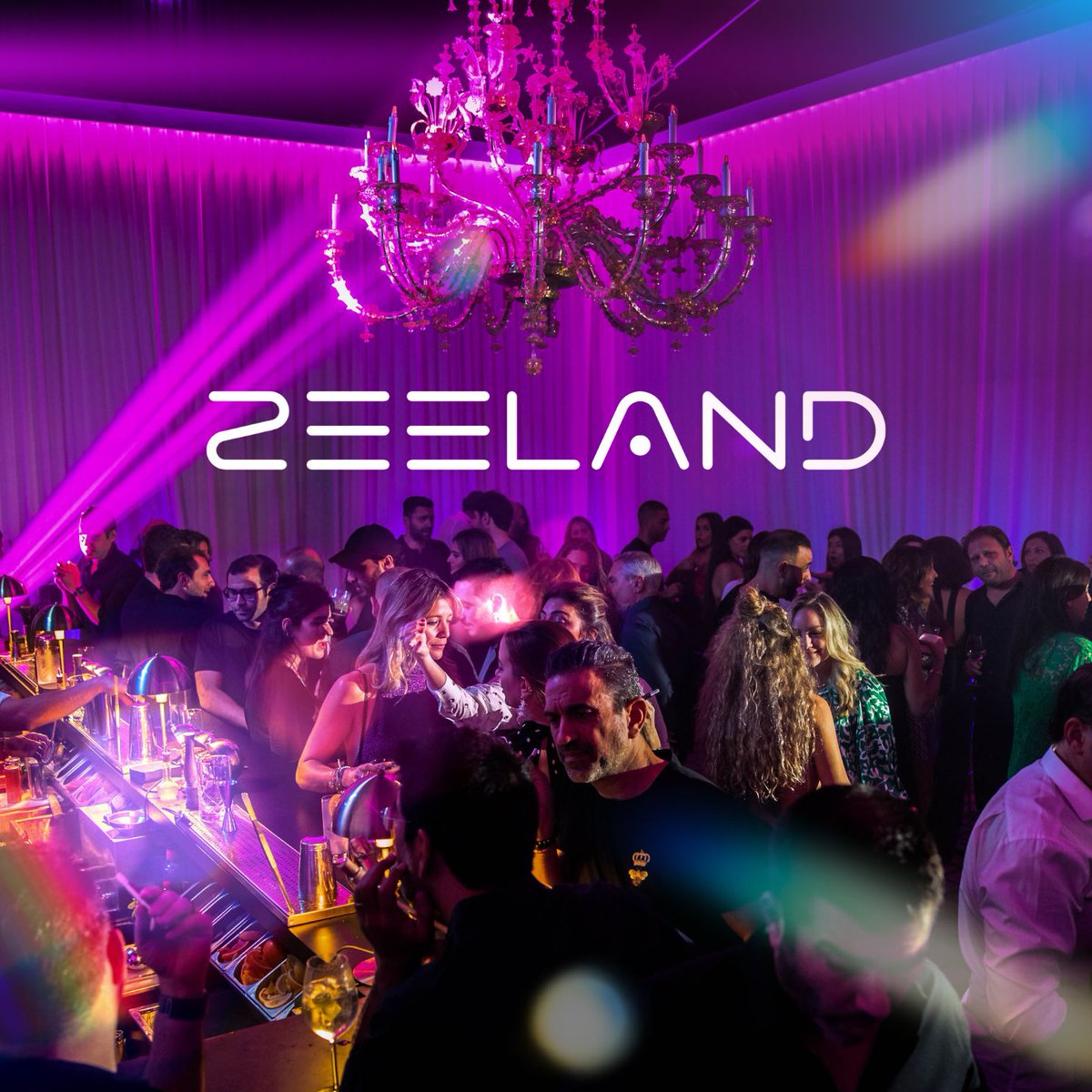 Zeeland NFT tweet media