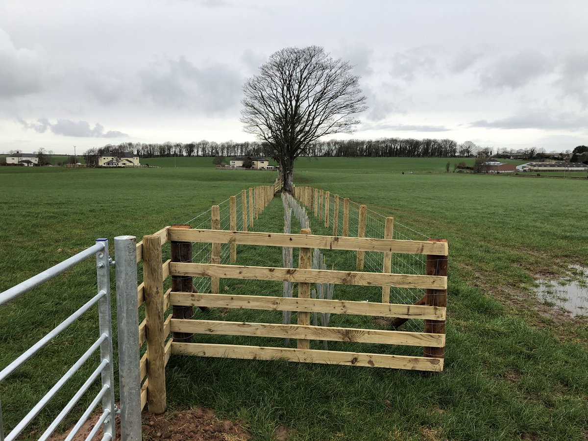 Craig Brough tweet media