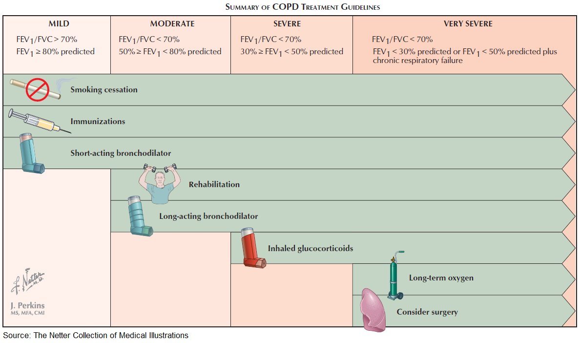 Manual Of Medicine on Twitter "Summary of COPD Treatment Guidelines 