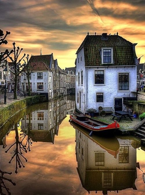 angela salomé ☕💙 tweet media