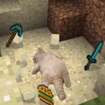 Goblnnn's tweet photo. @mrjoseph_exe https://t.co/97Ld5faCFn