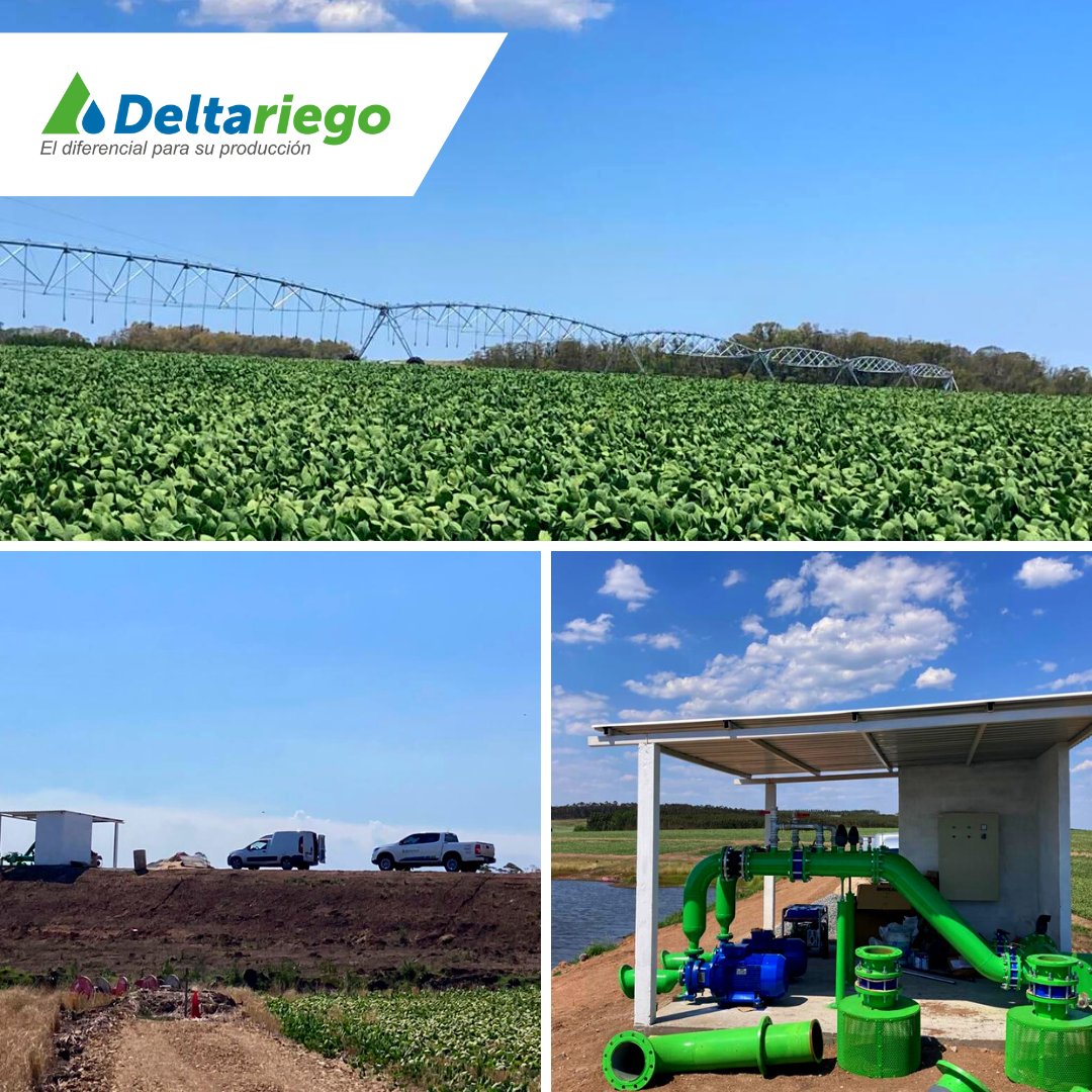 deltariego's tweet photo. ⚙️ Próximos a terminar la instalación en el proyecto 75 hectáreas de riego por pivotes #Valley en establecimiento Tapiaguara, Colonia. https://t.co/5Uer1PUsR3
