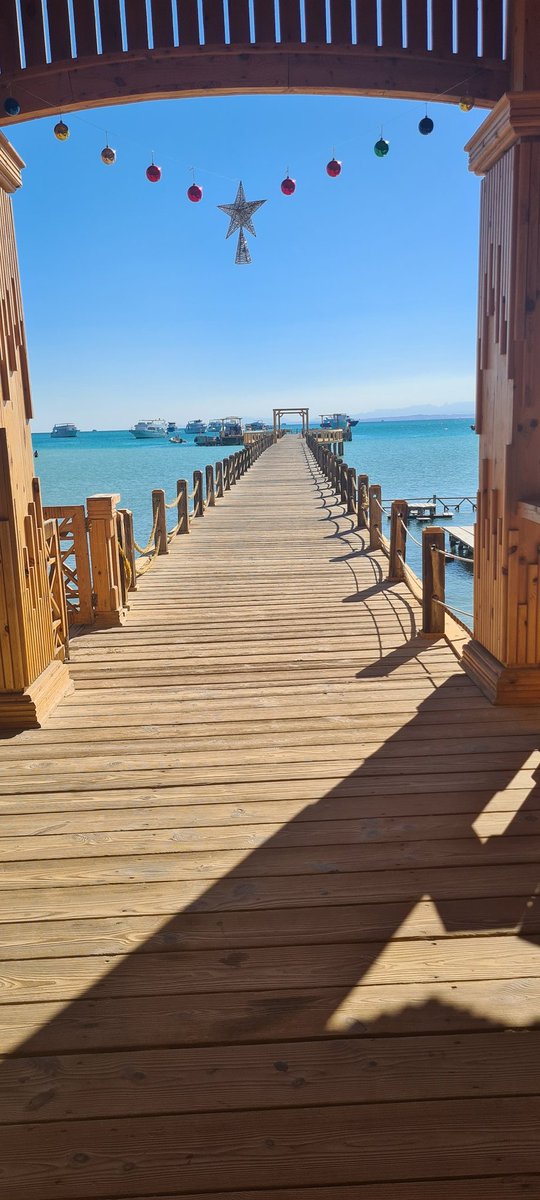 Jamie Thomas tweet media