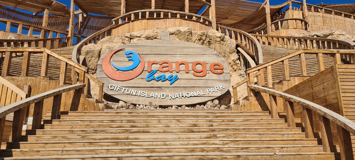 Jamie Thomas tweet media