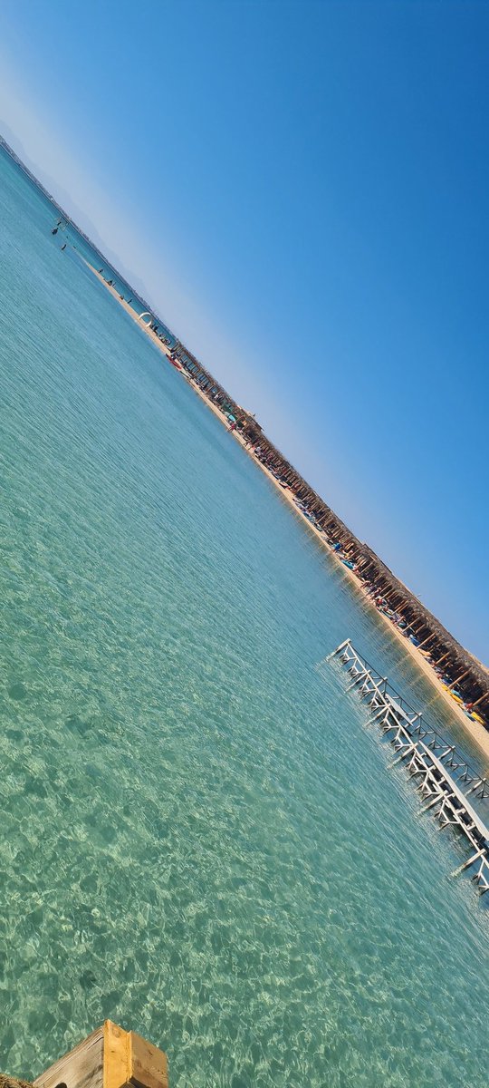 Jamie Thomas tweet media