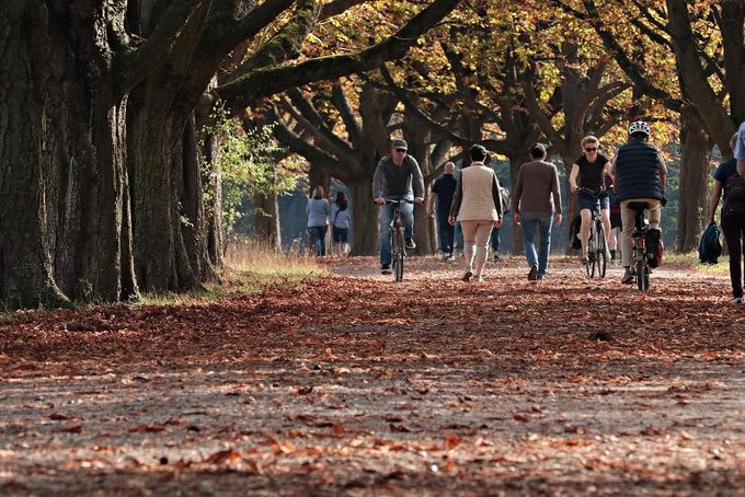 "Frequent visits to green space linked to lower use of certain prescription meds" <a href="/NeuroscienceNew/">Neuroscience News</a> "People who frequently visit green spaces are less likely to use prescription medications for anxiety, depression, high blood pressure, and asthma".
neurosciencenews.com/green-space-me…