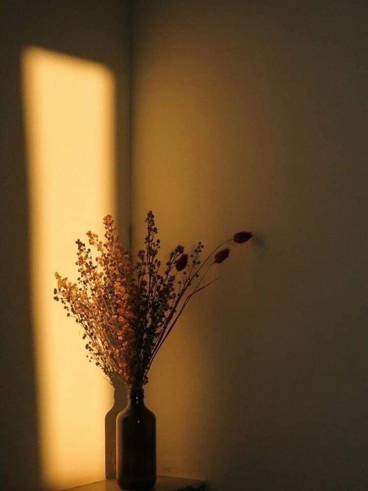 sunflow23002724's tweet photo. ลืมเรื่องของฉัน แล้วไปใช้ชีวิตอิสระเถอะ.🥲🥀🖤

#คำคมความรู้สึก #คําคมเศร้า #คําคมความรัก #คําคมโดนๆ #แคปชั่นความรัก #แคปชั่นความรู้สึก #แคปชั่นเศร้าๆ #แคปชั่นเด็ด https://t.co/EYyA4NiC73
