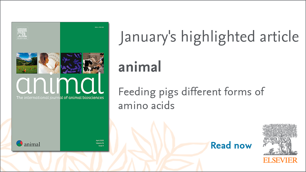 Animal Journal tweet media