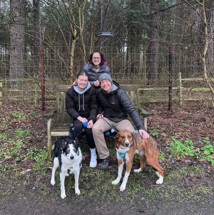 SavingStraysUK's tweet photo. for all their help here in the U.K. with this wonderful boy of ours 💜🙏🐾  #happybeginning #homeatlast #foreverfamily #home #love #loveislove #pawesomenews #thankyou https://t.co/nLtu4xtA1y