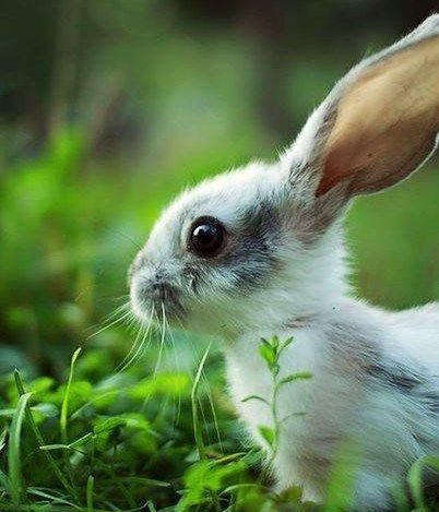 🌍Life❤Melody🌞 tweet media