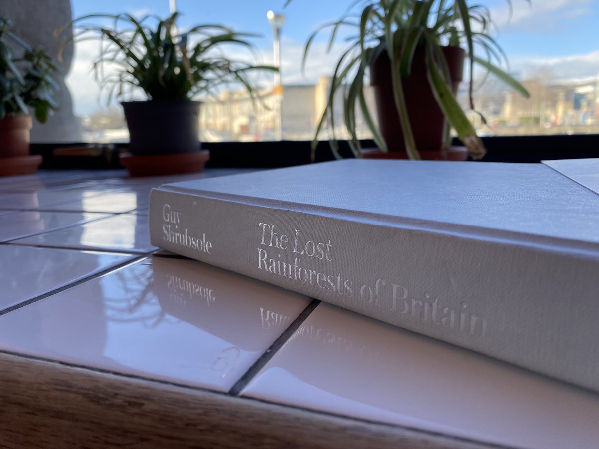 Mathilda Digby (@madigby) on Twitter photo Thank you <a href="/guyshrubsole/">Guy Shrubsole</a> for this absolute treat of a read. Written beautifully and details amazing work being done across the UK 🌿
We know what needs to be done to replenish this land, I will dedicate my career to this cause! 🦫🦅
#lostrainforestsofbritain
<a href="/ASRainforest/">Alliance for Scotland's Rainforest</a> Thank you <a href="/guyshrubsole/">Guy Shrubsole</a> for this absolute treat of a read. Written beautifully and details amazing work being done across the UK 🌿
We know what needs to be done to replenish this land, I will dedicate my career to this cause! 🦫🦅
#lostrainforestsofbritain
<a href="/ASRainforest/">Alliance for Scotland's Rainforest</a>